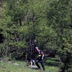 IMG_0874 bis