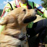 IMG-20160705-WA0058