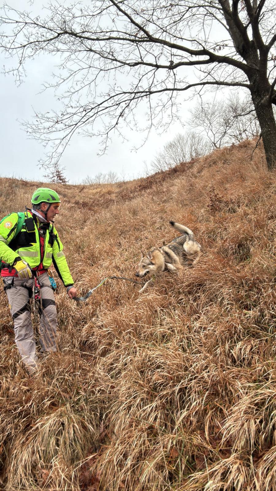 Un’immagine dell’intervento di oggi della stazione di Lucca al Monte Croce. Qui …